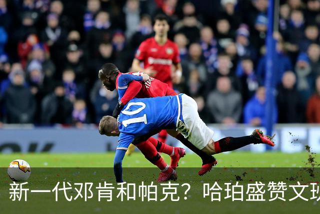 新一代邓肯和帕克？哈珀盛赞文班：方方面面，他都是最出色的领袖