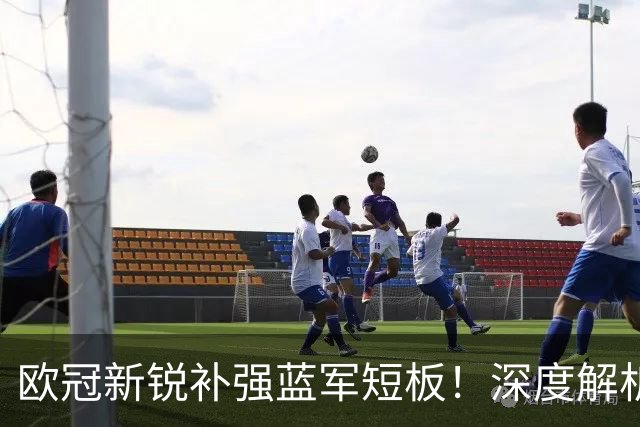 欧冠新锐补强蓝军短板！深度解析巴尔科拉实力与切尔西引援价值