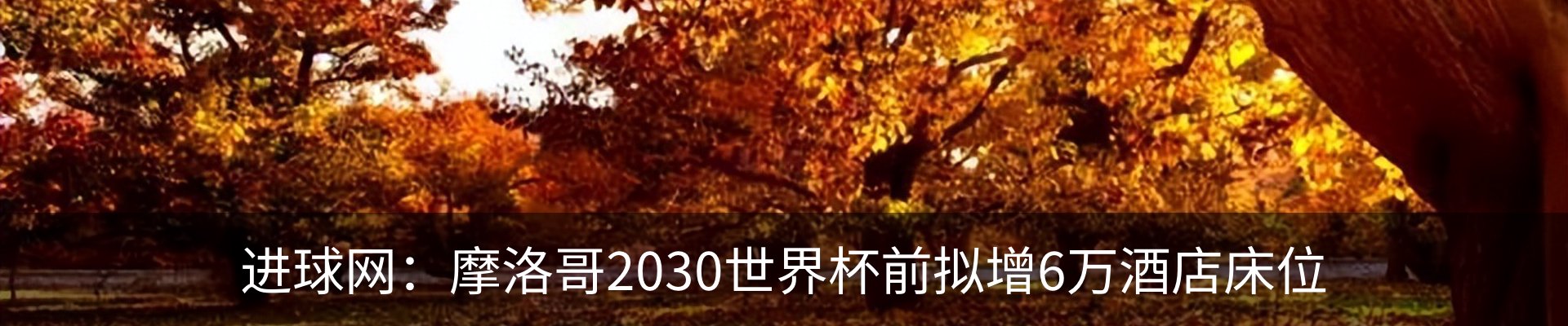 热点资讯